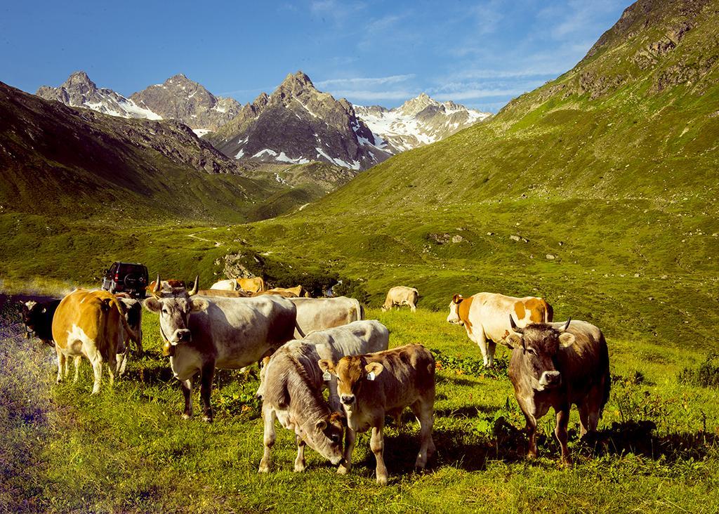 Alpenpension Maderer Gaschurn Esterno foto